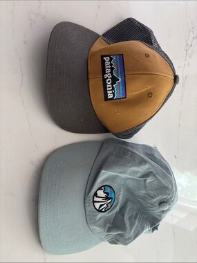 Patagonia Brown/Gray Trucker Hat + Light Blue Logo Cap